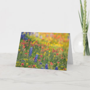 Frühlings-Wildblumen Karte