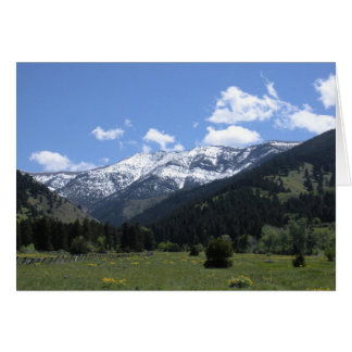 Frühlings-Zeit im Tal