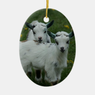FRÜHLINGS-ZIEGEN-BABYS - WEIHNACHTSverzierungen Keramikornament