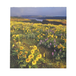 Frühlingsangebote im Überfluss der Wildblumen be Notizblock