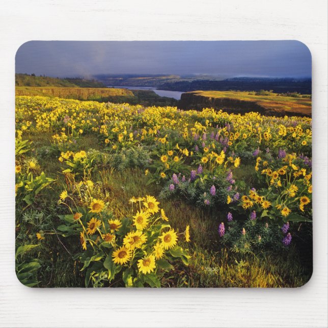 Frühlingsangebote im Überfluss der Wildblumen beim Mousepad (Vorne)