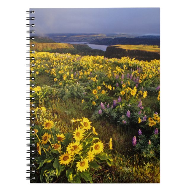 Frühlingsangebote im Überfluss der Wildblumen beim Notizblock (Vorderseite)