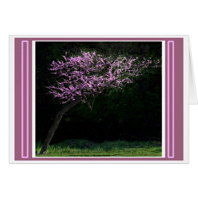 Frühlingsanstieg (Vorderseite (Horizontal))