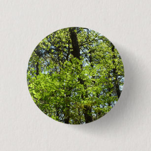 Frühlingsapfel Verlasse Natur Button