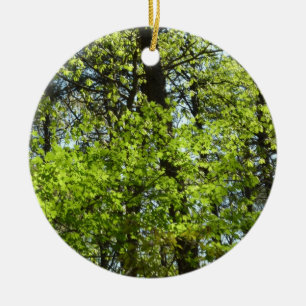 Frühlingsapfel Verlasse Natur Keramikornament