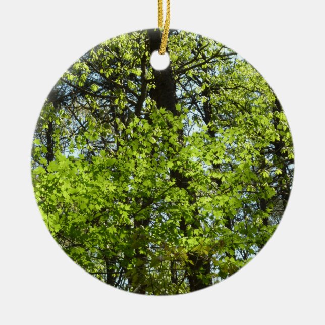 Frühlingsapfel Verlasse Natur Keramikornament (Vorne)