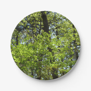 Frühlingsapfel Verlasse Natur Pappteller