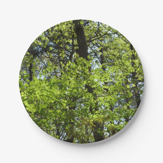 Frühlingsapfel Verlasse Natur Pappteller (Vorderseite)