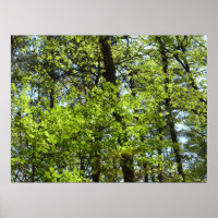 Frühlingsapfel Verlasse Natur