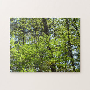 Frühlingsapfel Verlasse Natur Puzzle