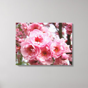 Frühlingsbaum Blüten Blumen Leinwanddrucke Floral Leinwanddruck