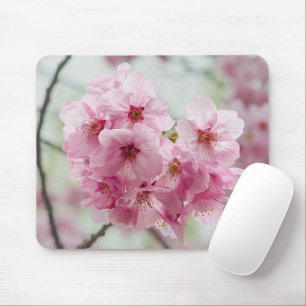 Frühlingsbeauty: Cherry Blossom Fotografie Mousepad