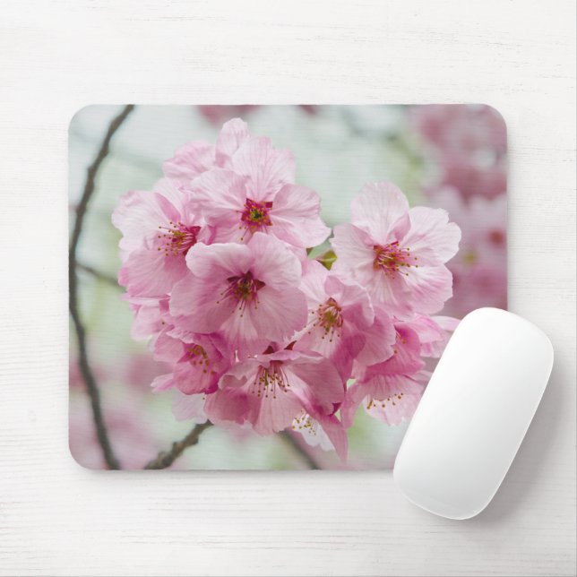 Frühlingsbeauty: Cherry Blossom Fotografie Mousepad (Mit Mouse)