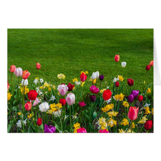 Frühlingsblumen (Vorderseite (Horizontal))