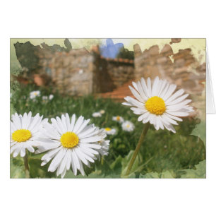 Frühlingsblumen