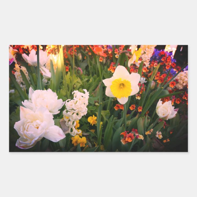 Frühlingsblumen #1-1 Stickers (Vorderseite)