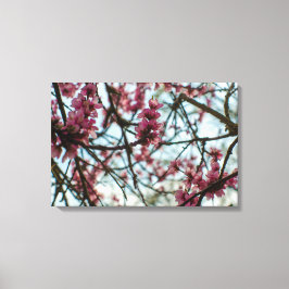 Frühlingsblumen auf einem Baum Leinwanddruck