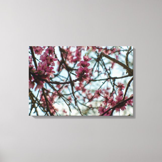 Frühlingsblumen auf einem Baum Leinwanddruck (Vorderseite)