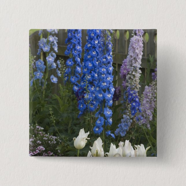 Frühlingsblumen auf einem Gartenweg, Georgien 2 Button (Vorderseite)