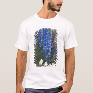 Frühlingsblumen auf einem Gartenweg, Georgien 2 T-Shirt