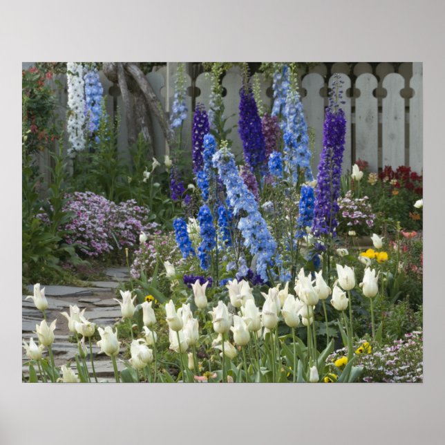 Frühlingsblumen auf einem Gartenweg, Georgien Poster (Vorne)