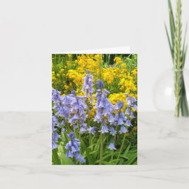 Frühlingsblumen Bluebells und Wandblumen Foto Karte