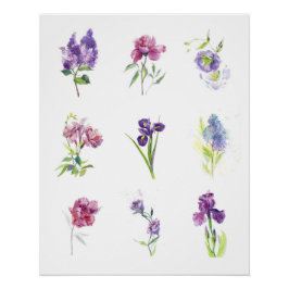 Frühlingsblumen Botanische Aquarell-Sammlung Poster