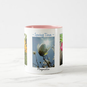 Frühlingsblumen Daisies Magnolia Crocuses Tasse