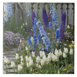 Frühlingsblumen entlang eines Gartenwegs, Georgia Fliese