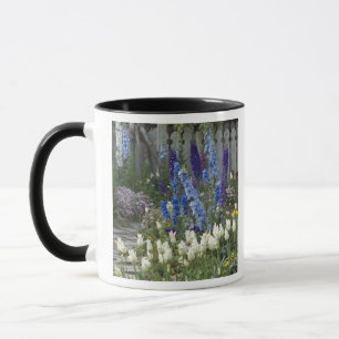 Frühlingsblumen entlang eines Gartenwegs, Georgia Tasse
