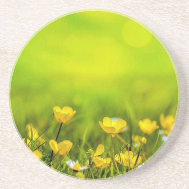 Frühlingsblumen Hintergrund Getränkeuntersetzer (Vorne)