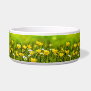 Frühlingsblumen Hintergrund Napf