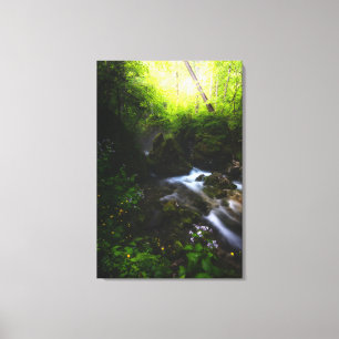 Frühlingsblumen im bezaubernden Flusswald Leinwanddruck
