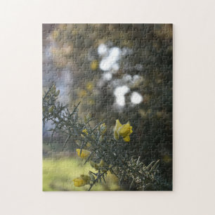 Frühlingsblumen im Hyde Park, London, Vereinigtes Puzzle