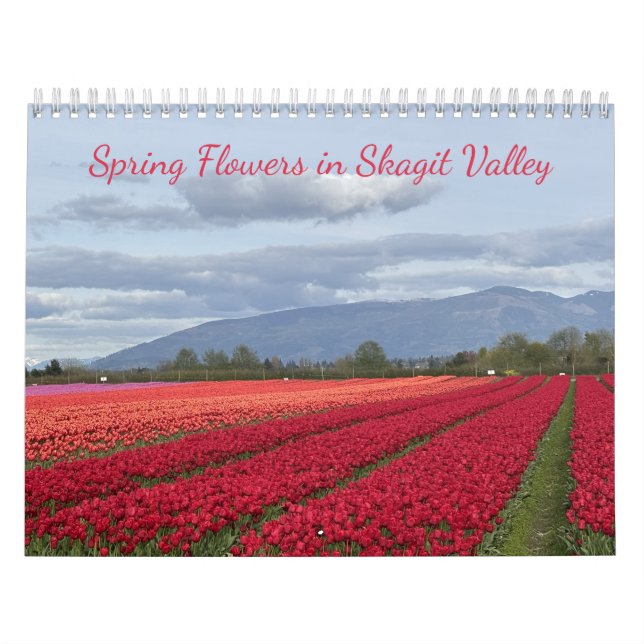 Frühlingsblumen im Skagit Valley, Washington State Kalender (Titelbild)