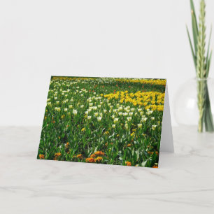 Frühlingsblumen Karte