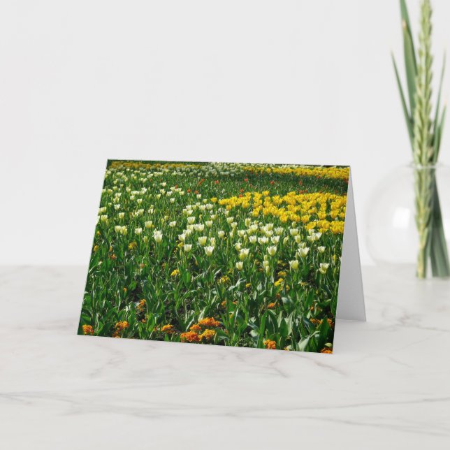 Frühlingsblumen Karte (Vorderseite)