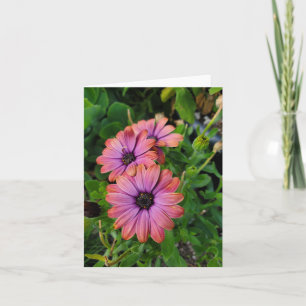 Frühlingsblumen Karte