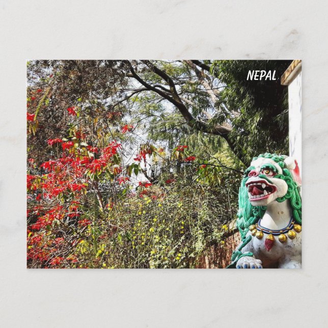 Frühlingsblumen, Klosterwächter - Nepal Postca Postkarte (Vorderseite)