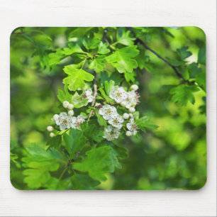 Frühlingsblumen Mousepad