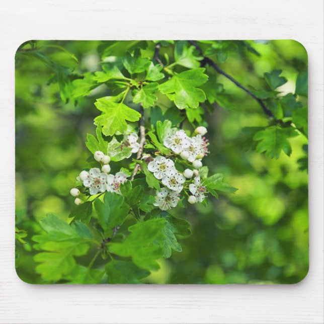 Frühlingsblumen Mousepad (Vorne)