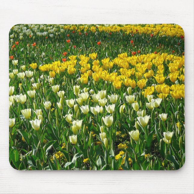 Frühlingsblumen Mousepad (Vorne)