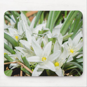 Frühlingsblumen Mousepad