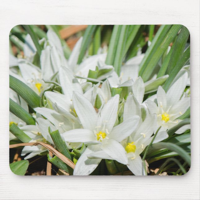 Frühlingsblumen Mousepad (Vorne)