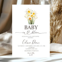 Frühlingsblumen-Narzissen-Baby in Blüte