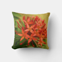 Frühlingsblumen, Oster, Frühling, Natur, Orange