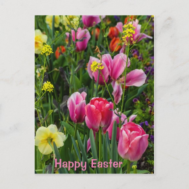 Frühlingsblumen Osterpostkarte Postkarte (Vorderseite)