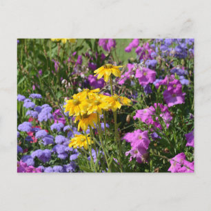 Frühlingsblumen Postkarte