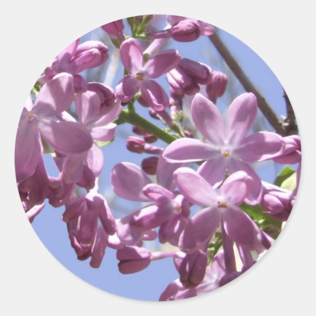 Frühlingsblumen Sticker (Vorderseite)