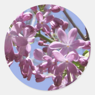 Frühlingsblumen Sticker